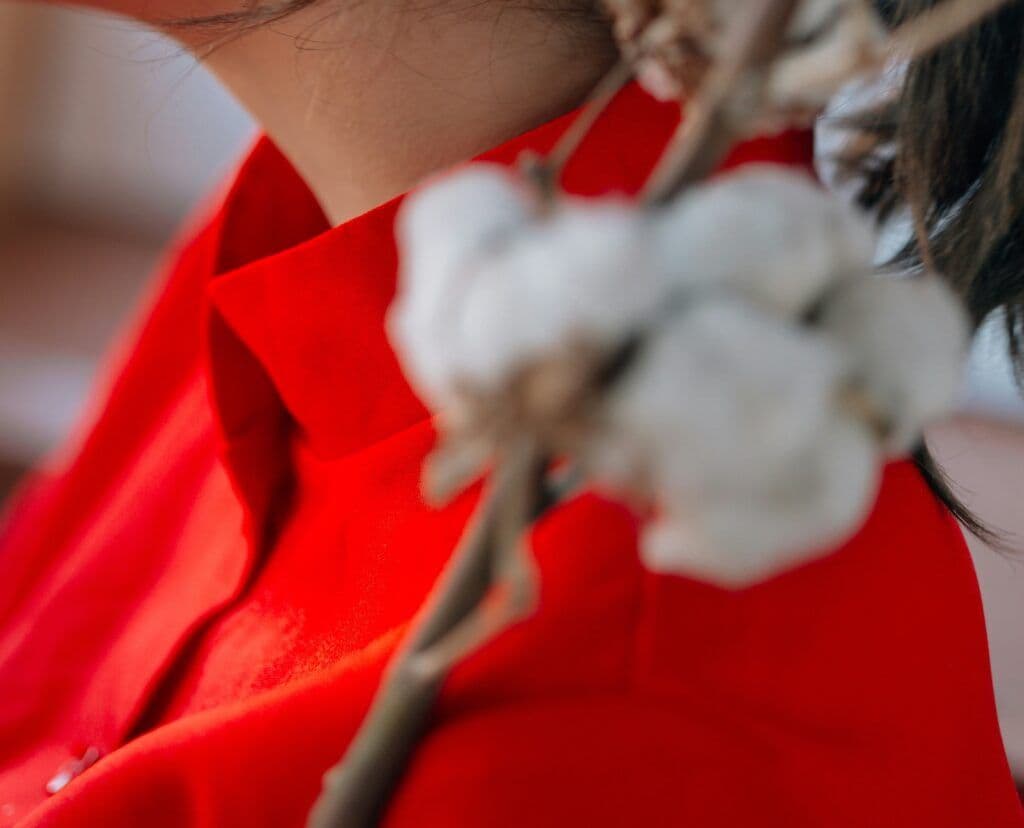 Regenerative Cotton: The Business Case for Brands